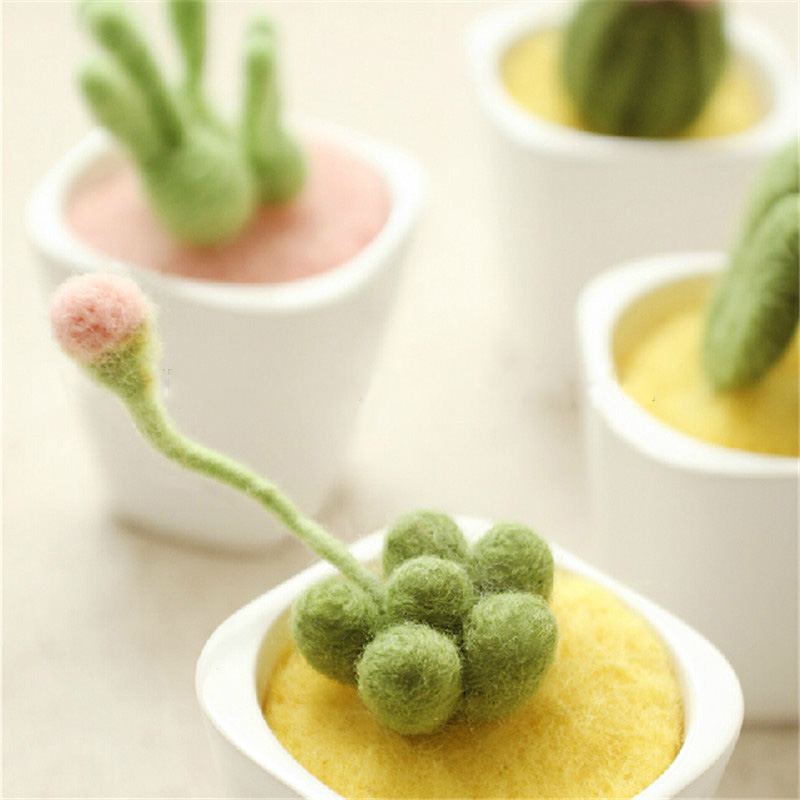 DIY plant needle felting craft kits